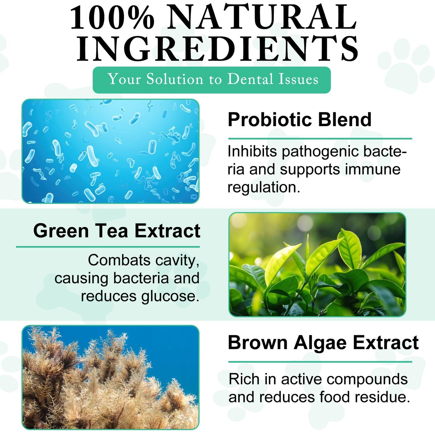 ARMOYA Dog Dental Powder - Teeth Cleaning Powder for Dogs - Dental Powder for Dogs - Dog Dental Care - Plaque & Bad Breath Off Powder Dog - Dental Care Supplies for Small - Medium - Large Dogs