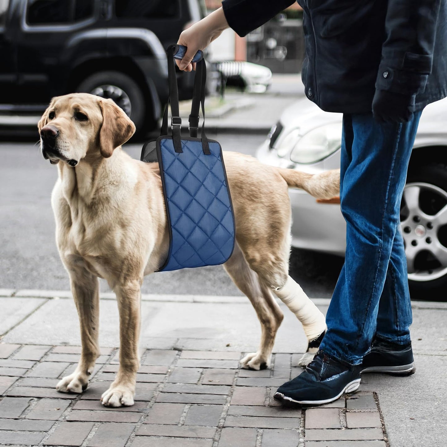 Adjustable Dog Sling Dog Lift Harness for Large Dogs, Hind Leg Support Portable Soft Lift Support and Rehab Harness for Weak Rear Legs, for Senior, Injured, Disabled and After Surgery Dogs Large