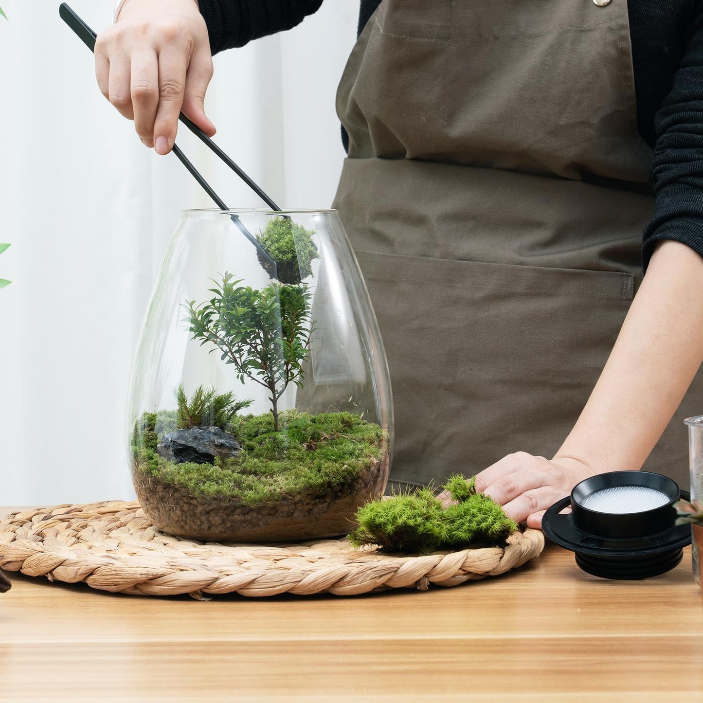 Desktop Glass Terrarium with Grow Light (H:7.8" D:6.7"), for Succulent, Moss, Miniature Gardening Landscape, Betta Fish Tank, Indoor Plant Growth, Office Home Decoration, Plant Lovers Gifts