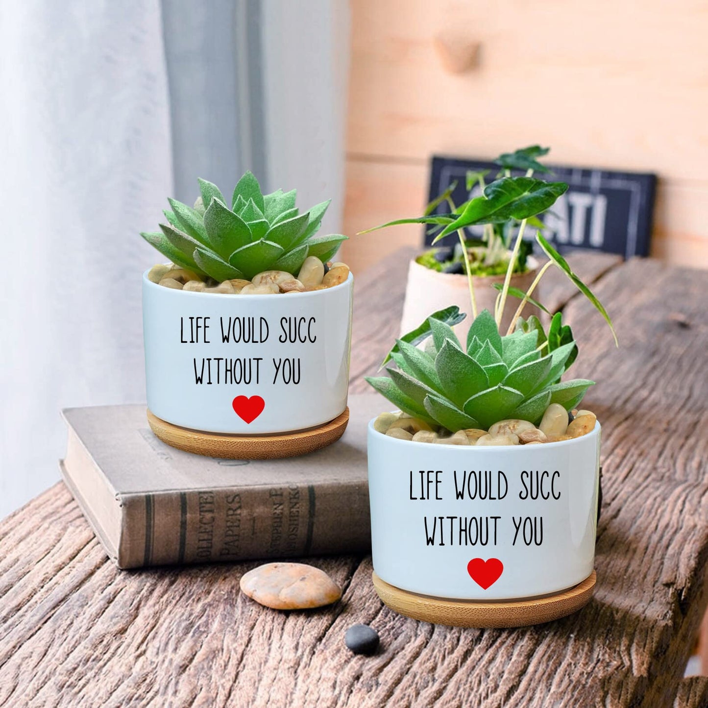 Funny Life Would SUCC Without You Planter Pots, White Ceramic Engraved Mini Succulent Cactus Planter Pot, Home Office Windowsill Plant Pots for Plant Lover Birthday
