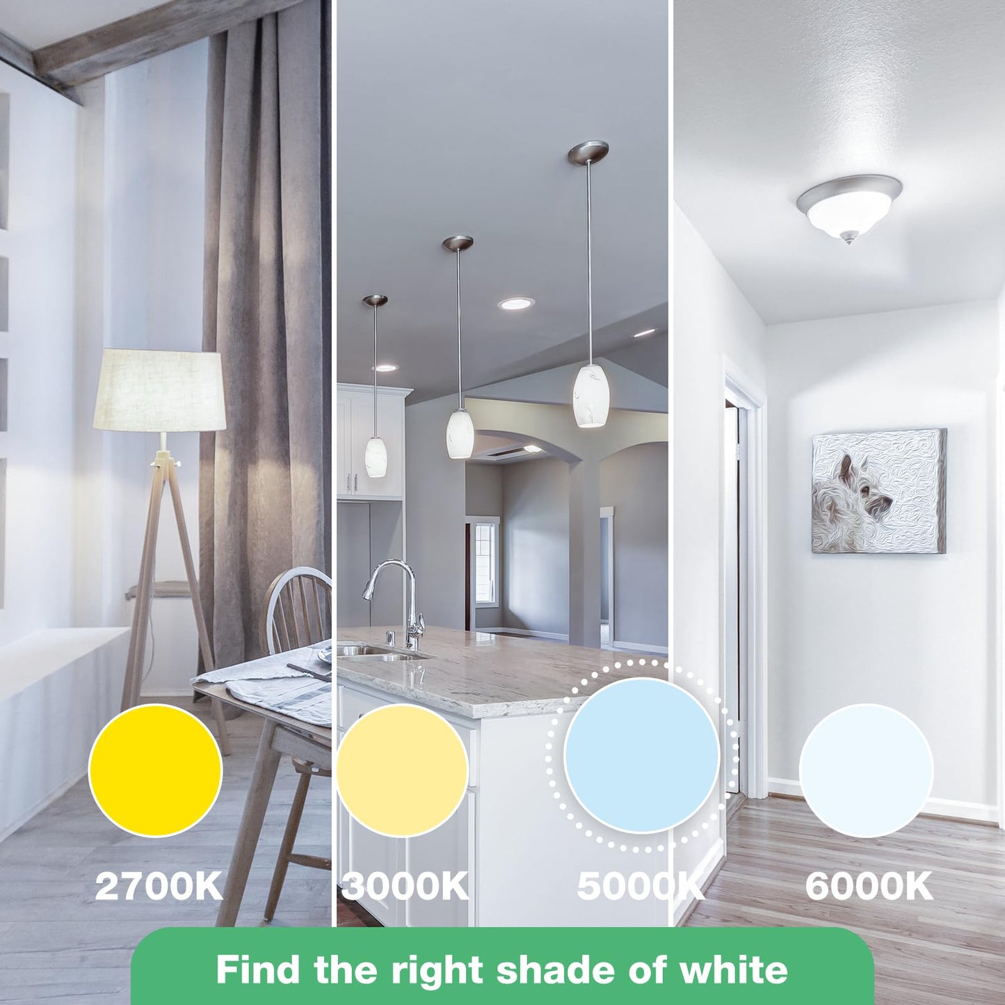 DEGNJU LED Light Bulbs, 100 Watt Equivalent LED Bulbs A19, 5000K Daylight Light Bulb, 1500 Lumens, E26 Standard Base, Non-Dimmable, 13W Bright White LED Bulbs for Bedroom Home Office, 12 Pack