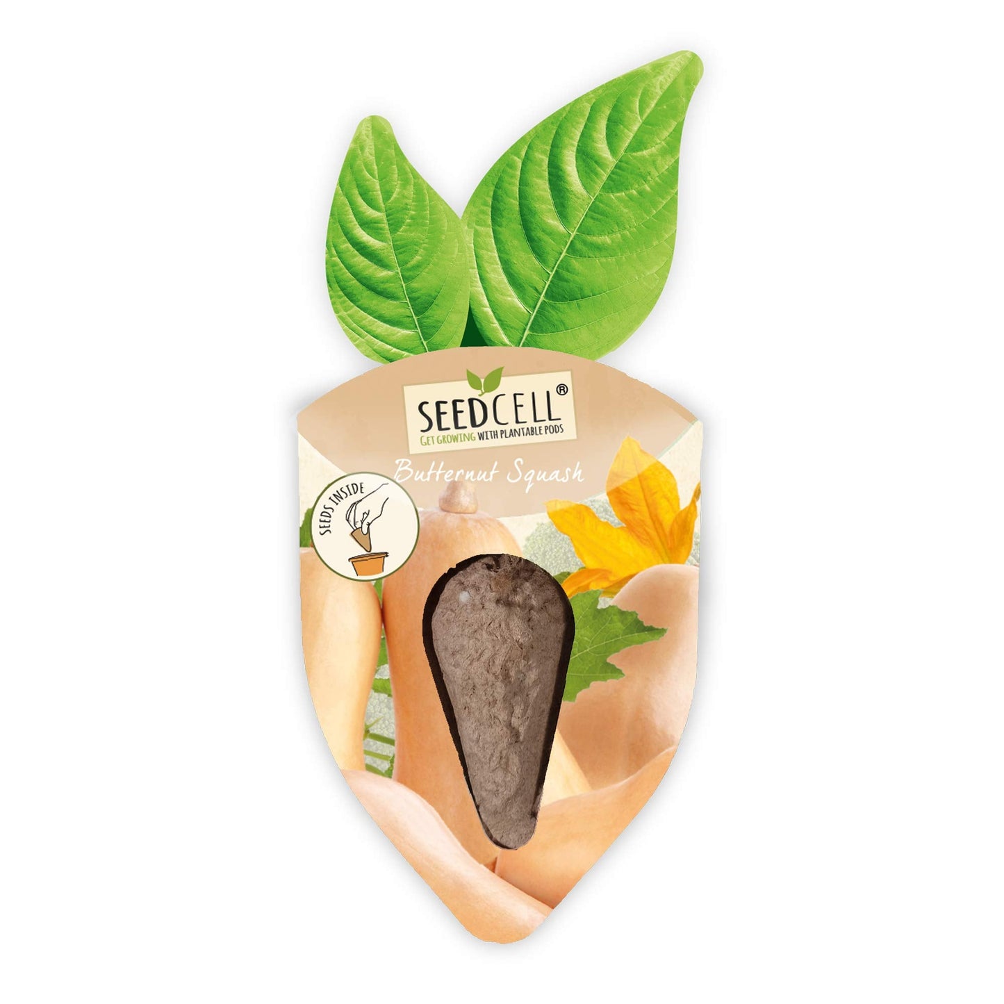 Vegtrug Seed Pods Kit - Vegetable Patch, Non-GMO Seeds with Fully Biodegradable Seed Pods, Contains Seeds of Broccoli, Zucchini, Pumpkin, and Butternut Squash, Pack of 1