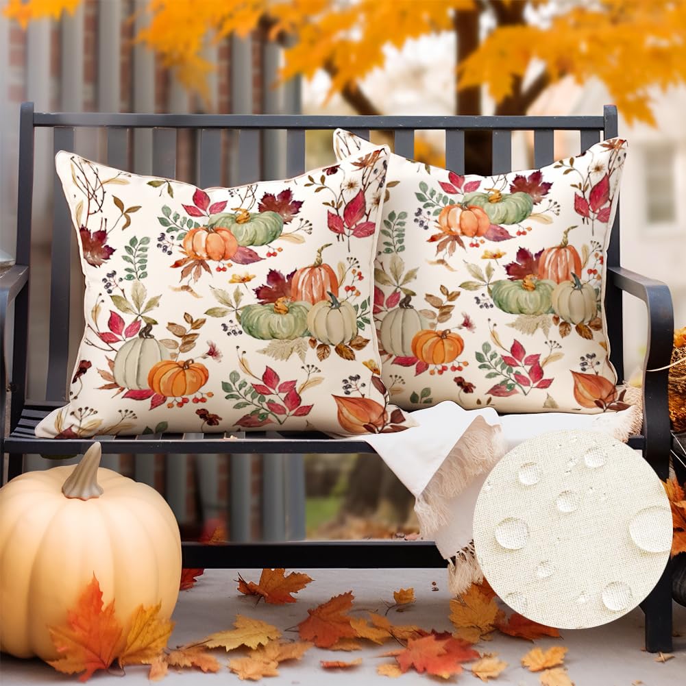 RABUSOFA Outdoor Waterproof Fall Pillow Covers 18x18 Inch,Fall Outdoor Pillows Case Set of 2,Pumpkin Autumn Thanksgiving Throw Pillows for Porch Maple Leaf(9-18)