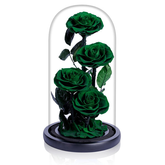 4 Preserved Flowers in Glass Dome - Roses Gift for Her - Birthday Flowers for Women, Green