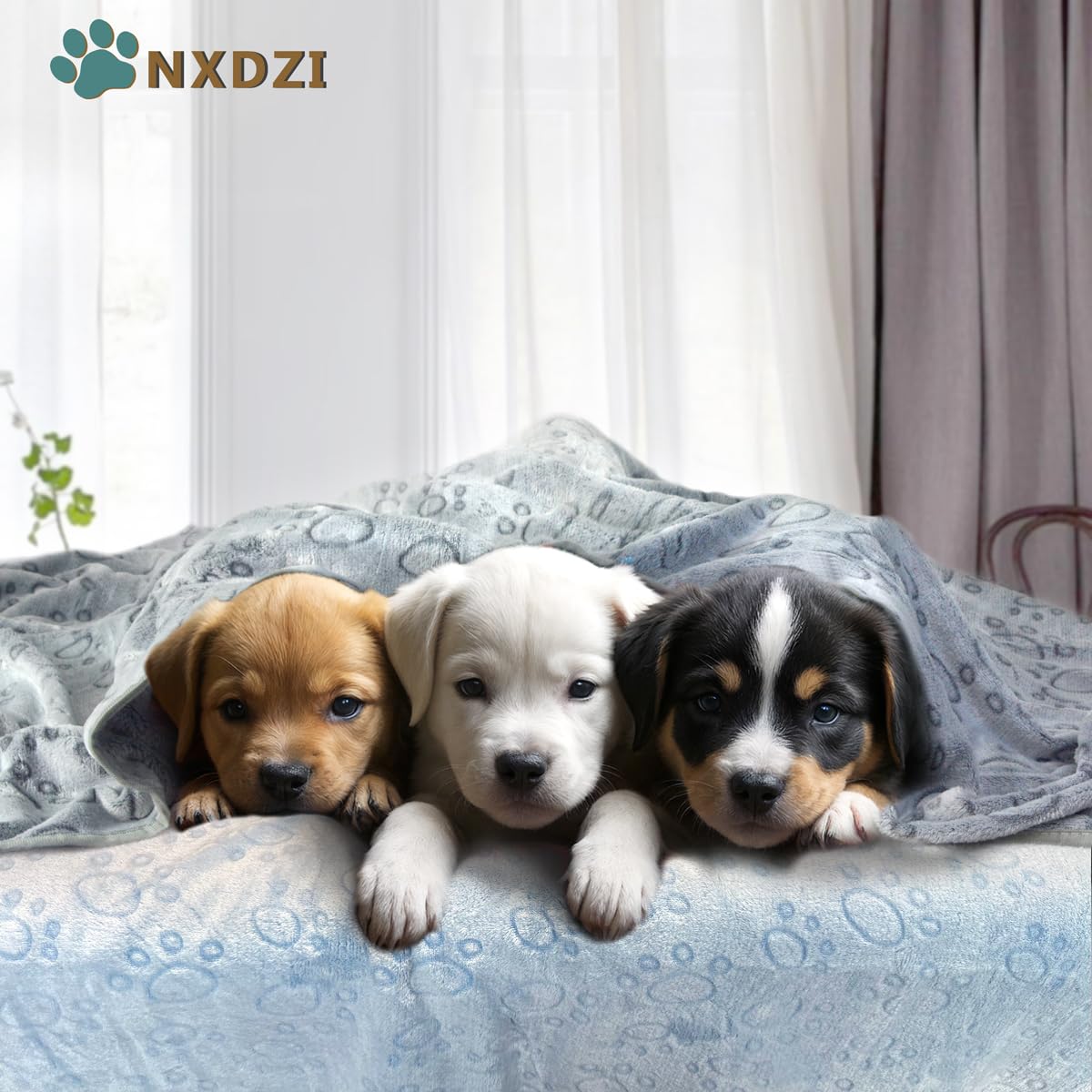 3 Pack Dog Blankets for Small Dogs, 23''x16'' Washable Dog Blanket, Soft Pet Blankets for Cat、Rabbit、Guinea Pig Small Animal Fleece Bedding Cute Claw Pattern Rabbit Bedding