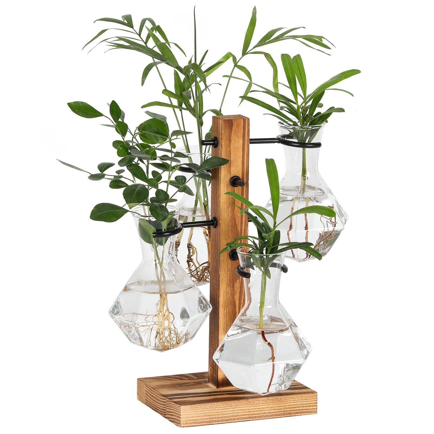 PAG-Mass Planter Terrariums Kit, Desktop Hydroponics Air Planter Holder, Plant Propagation Station with 4 Glass Vase and Solid Wood Stand, Gardening Gift for Women and Plant Lovers