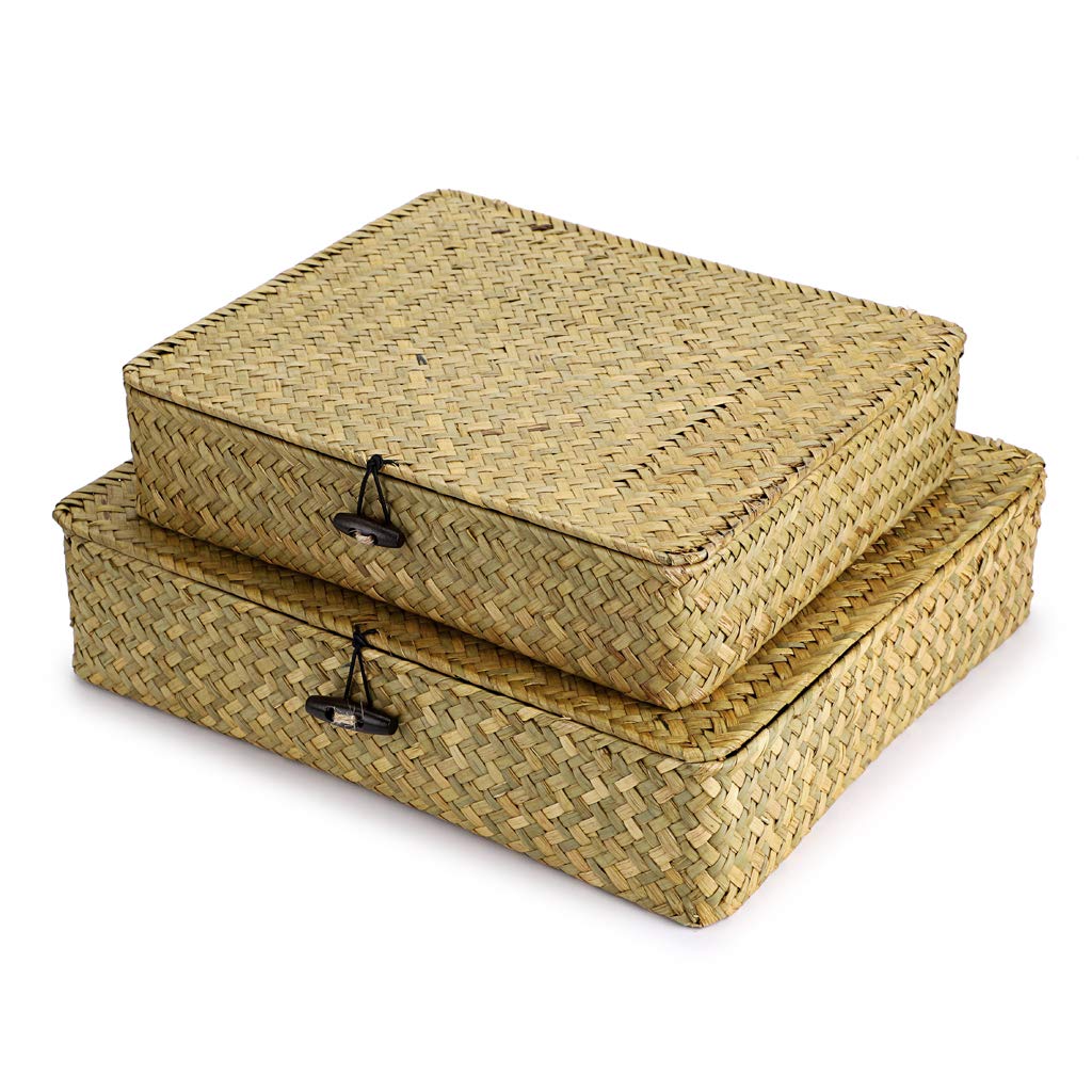 Hipiwe Set of 2 Flat Woven Wicker Storage Bins with Lid Natural Seagrass Basket Multipurpose Home Boxes for Shelf Organizer (Coffee)