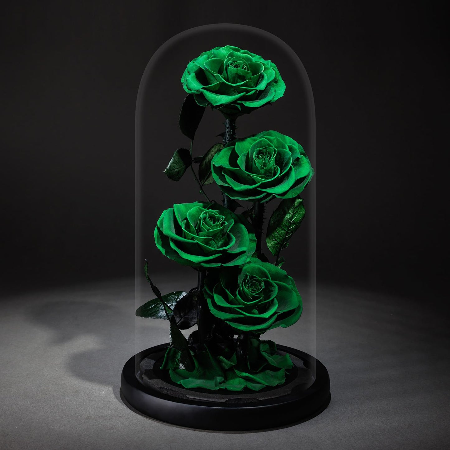 4 Preserved Flowers in Glass Dome - Roses Gift for Her - Birthday Flowers for Women, Green
