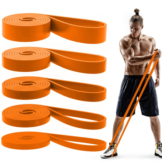 Pull Up Bands, Resistance Bands, Pull Up Assistance Bands Set for Men & Women, Exercise Workout Bands for Working Out, Body Stretching, Physical Therapy, Muscle Training - Orange