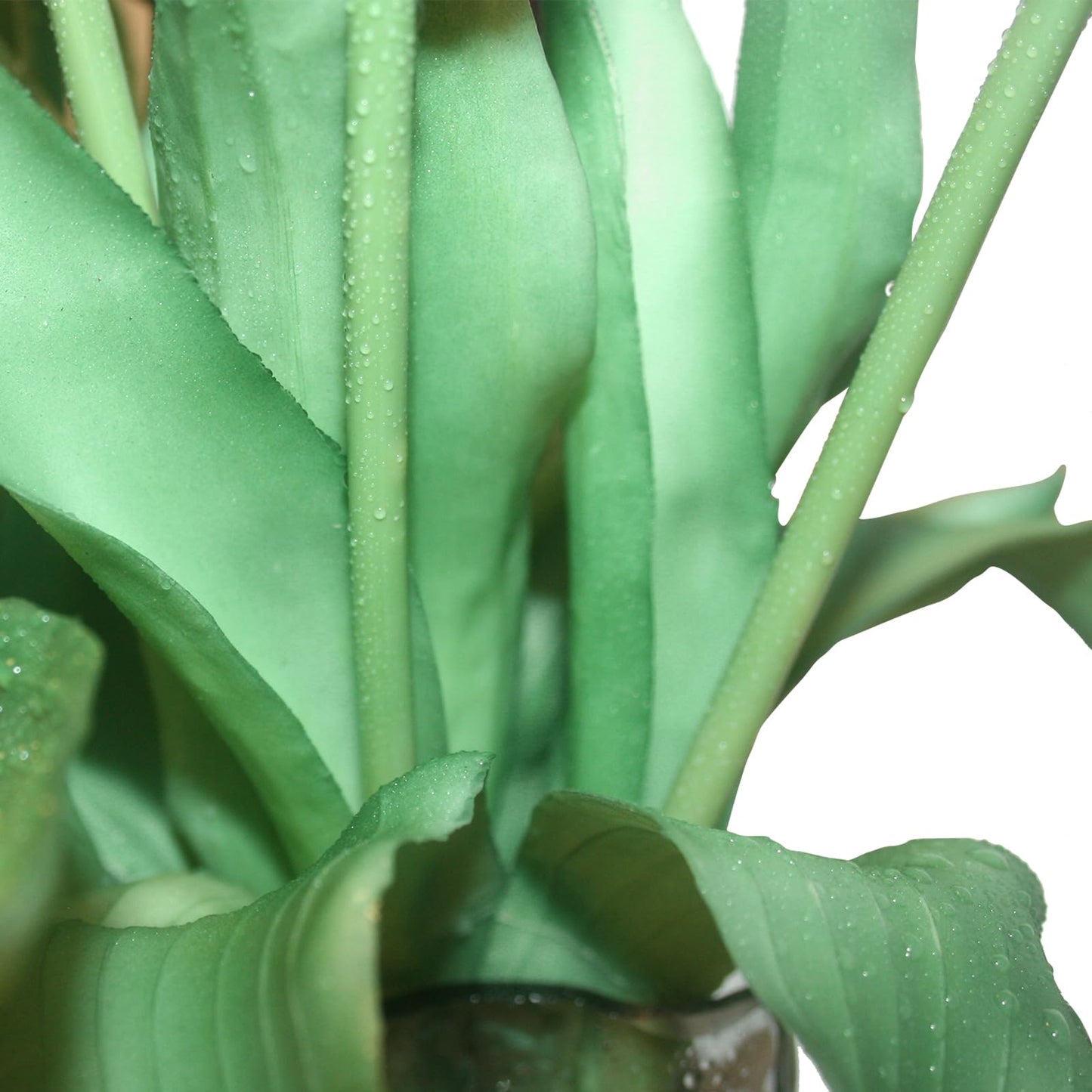 Moderspace 15pcs Artificial Tulips Flowers, Fake Tulips Real Touch, Faux Latex Bouquets, for Party Wedding Home Room Decoration (Purple)