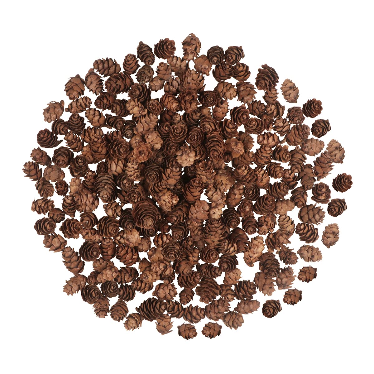 200PCS Christmas Natural Pine Cones Mini Fall Decorations Pinecones Ornaments Bulk Small Pine Cones for DIY Crafts Thanksgiving Fall Winter Christmas Wedding Decor Vase Filler Decor