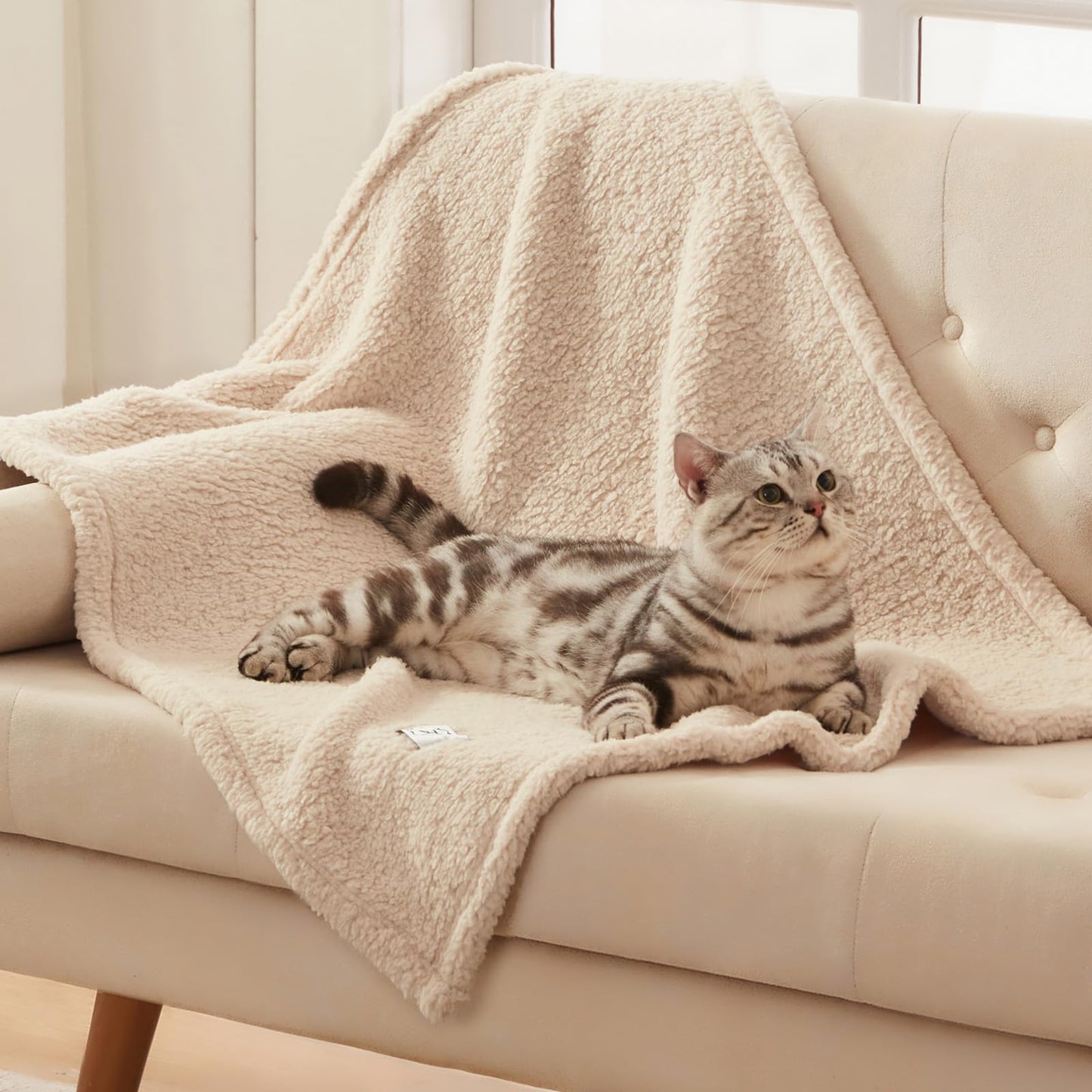 1 Pack 3 Calming Blankets Fluffy Premium Fleece Pet Blanket Soft Sherpa Throw for Dog Puppy Cat Beige Small (23" x16'')