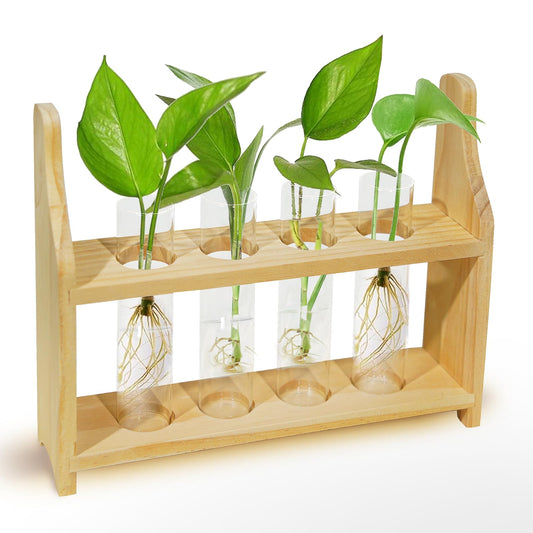 Plant Propagation Station Glass Container for Plants with Wooden Rack Hydroponic Planter, Small Birthday Gardening Gift for Female Moms and Plant Lovers (XXL)