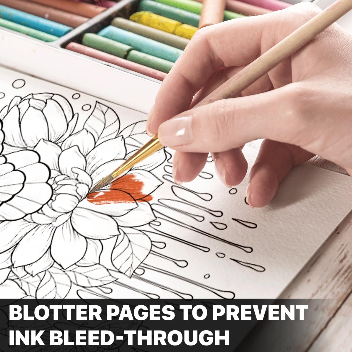 SOUTHERN LOTUS Butterflies And Flowers Spiral Coloring Book Wirebound Hardcovers Floral Design Aesthetic Illustrations Butterfly Relaxing Large Print Pages For Adults Relieve Stress Mindfulness