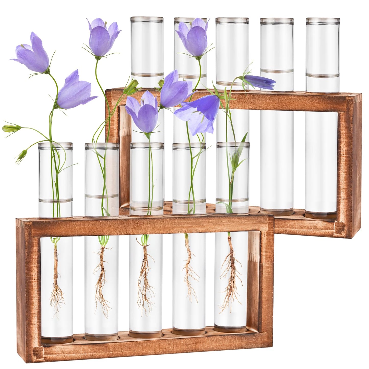Tigvio 2pcs Desktop Glass Plant Propagation Station with 10 Test Tubes in Wooden Stand - Hydroponic Plants Cutting Office Home Decoration and Garden Decor Terrarium (10 Tubes)