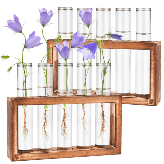 Tigvio 2pcs Desktop Glass Plant Propagation Station with 10 Test Tubes in Wooden Stand - Hydroponic Plants Cutting Office Home Decoration and Garden Decor Terrarium (10 Tubes)