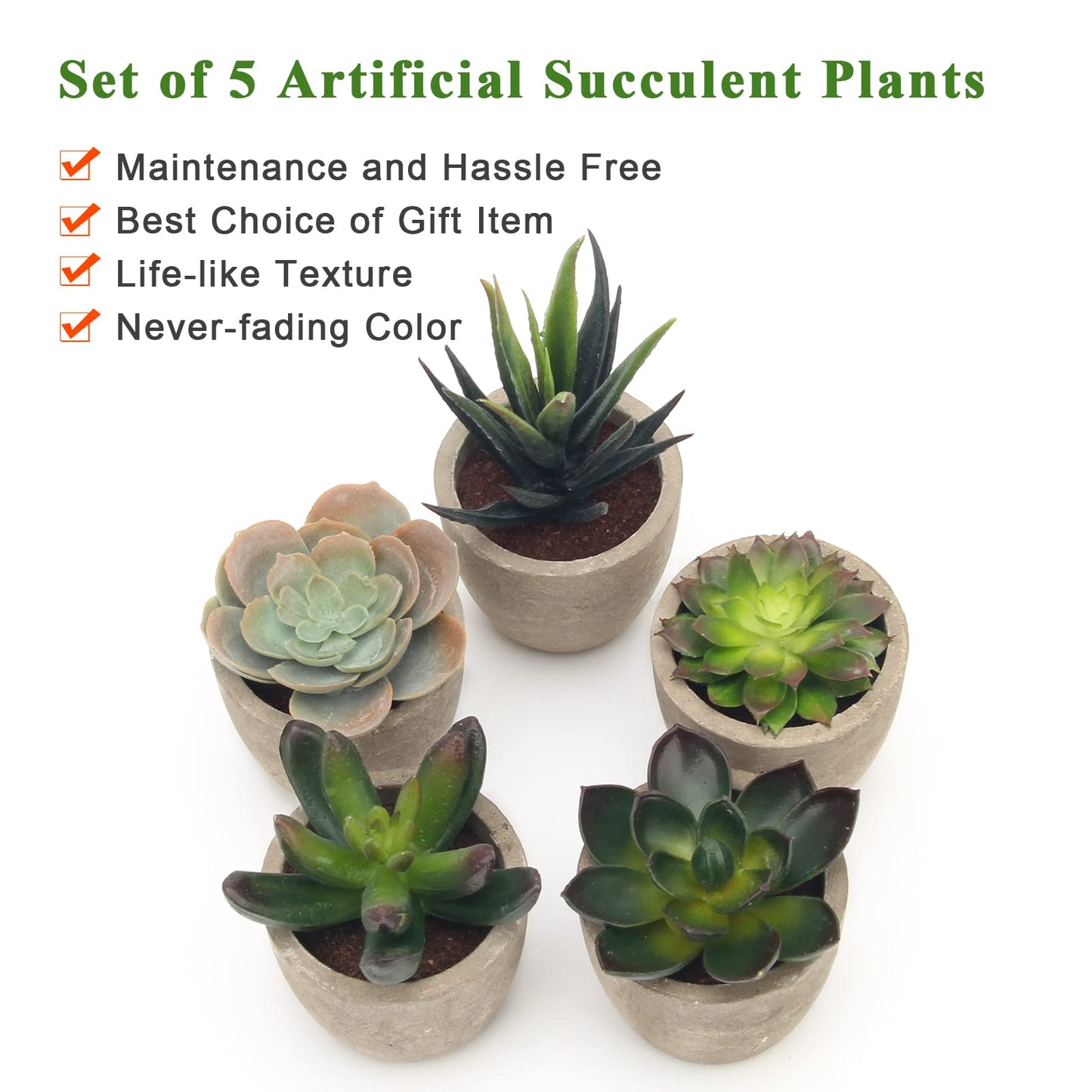 Coitak Artificial Succulent Plants Potted, Assorted Decorative Faux Succulent Potted Fake Cactus Cacti Plants with Pots, Set of 5