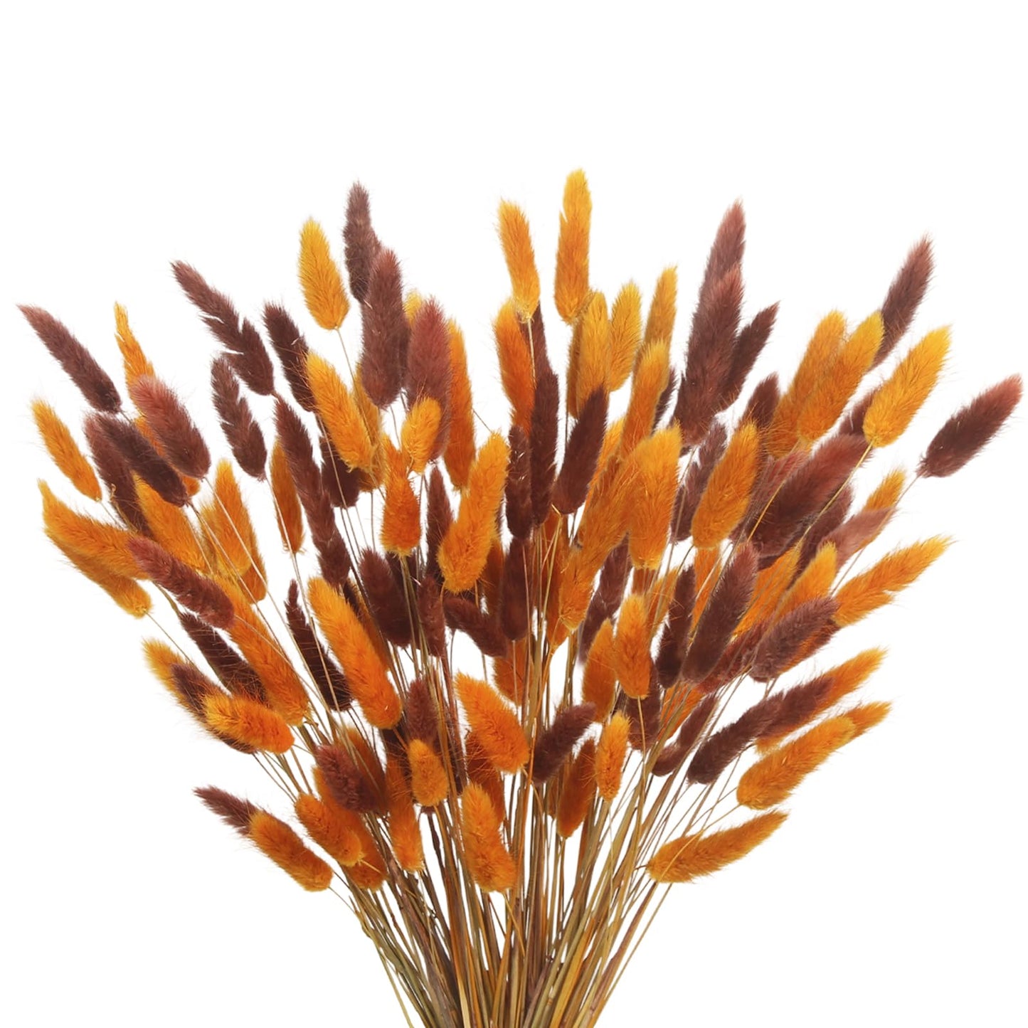CISDUEO 120pcs Dried Bunny Tails Flowers Lagurus Ovatus Tail Dried Flowers Pampas Grass Brown and Orange 17" Natural Dried Floral Arrangement for Boho Decor Home Wedding DIY Farmhouse Table Christmas