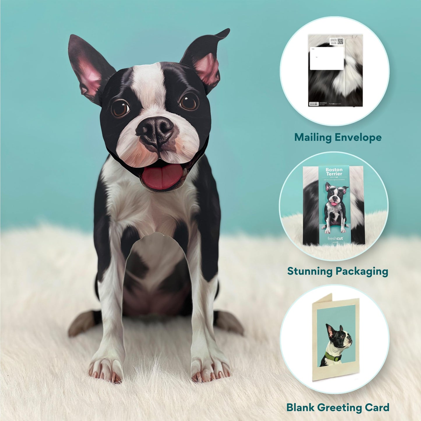 Freshcut Paper Pop Up Pet Cards, Gifts for Dog Lovers, Birthday Cards with Accessory Sheet, Note Card & Envelope, 3D Popup Greeting Card, Boston Terrier