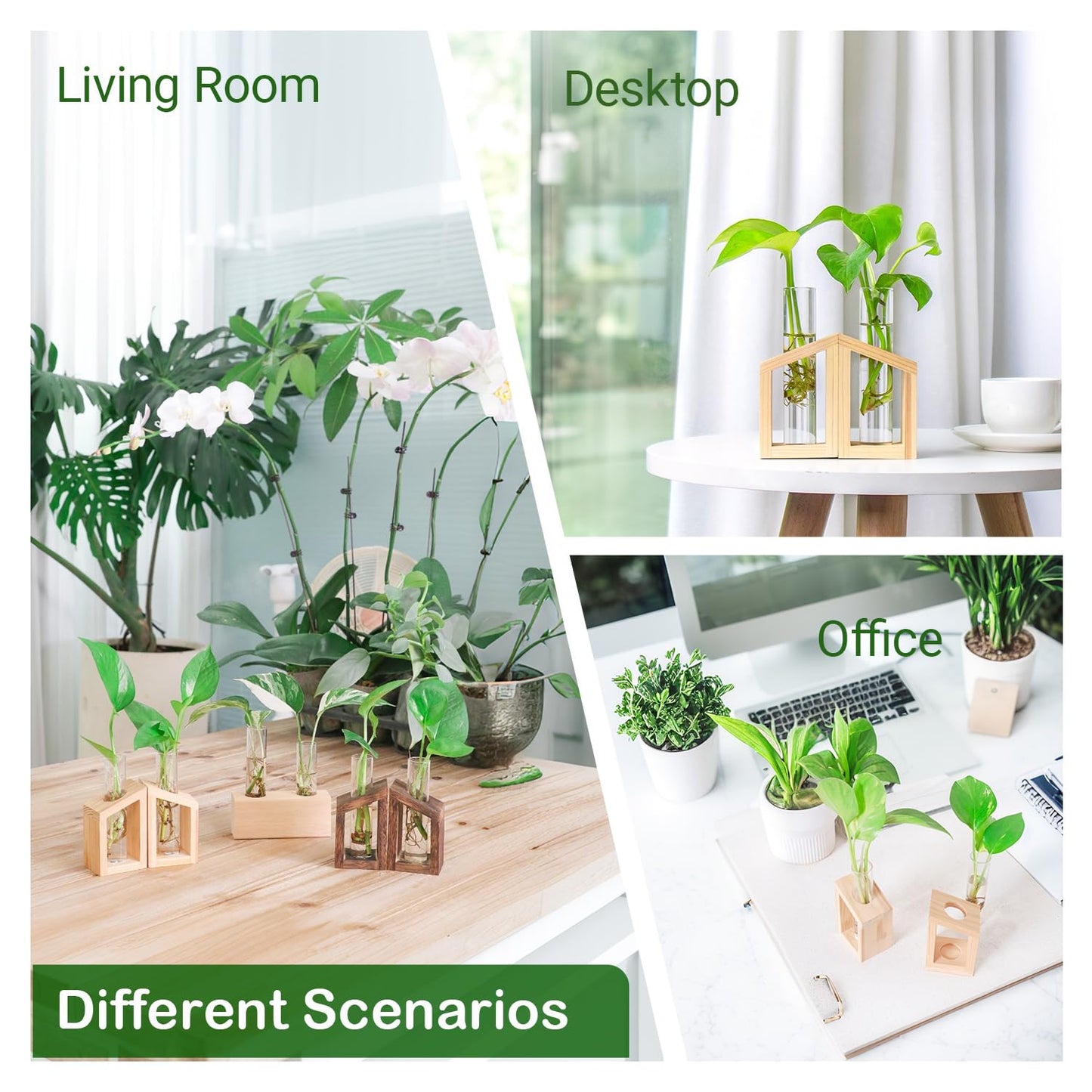 Ivolador Plant Propagation Station, Plant Propagation Tubes,Gifts for Plant Lovers,Plants Cutting Holder Office Desk Garden Décor Gifts for Mom Women Hydroponic Vase Gift Box