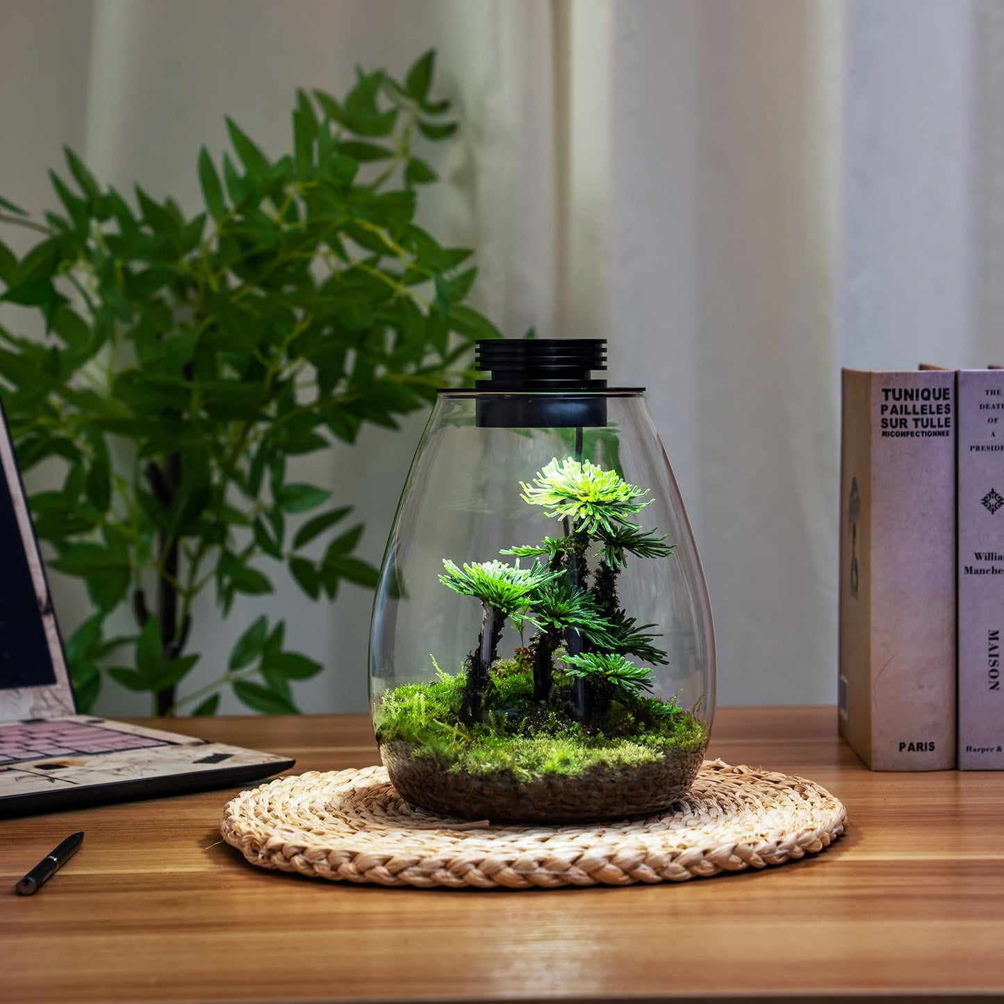 Desktop Glass Terrarium with Grow Light (H:7.8" D:6.7"), for Succulent, Moss, Miniature Gardening Landscape, Betta Fish Tank, Indoor Plant Growth, Office Home Decoration, Plant Lovers Gifts