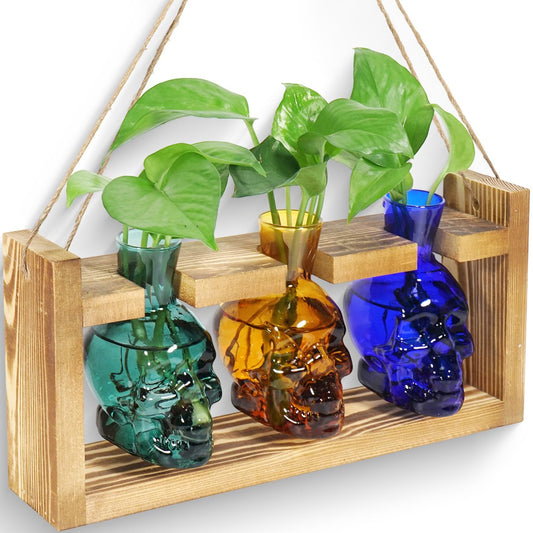 Plant Terrarium Propagation Stations Hydroponics Planter Vase Skulls Decor with Wooden Stand Gift (3*Mixed Color)