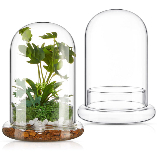 Perthlin 2 Pcs Glass Terrarium 5.9 x 7.9 Inch Terrarium Planter Container Clear Glass Dome Cloche with Airhole and Base for Plant Flower Home Tabletop Display Centerpiece, Plants Not Included