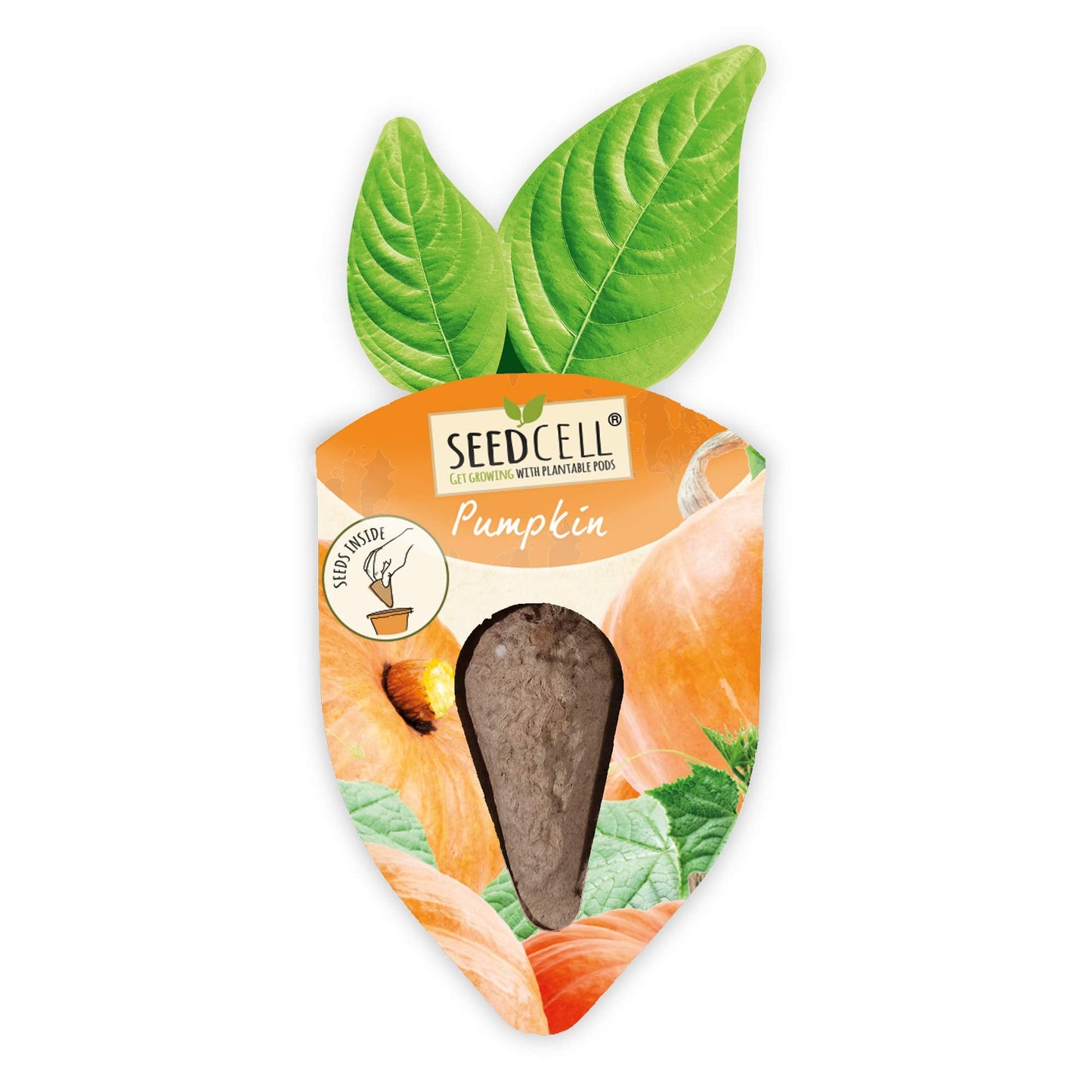 Vegtrug Seed Pods Kit - Vegetable Patch, Non-GMO Seeds with Fully Biodegradable Seed Pods, Contains Seeds of Broccoli, Zucchini, Pumpkin, and Butternut Squash, Pack of 1