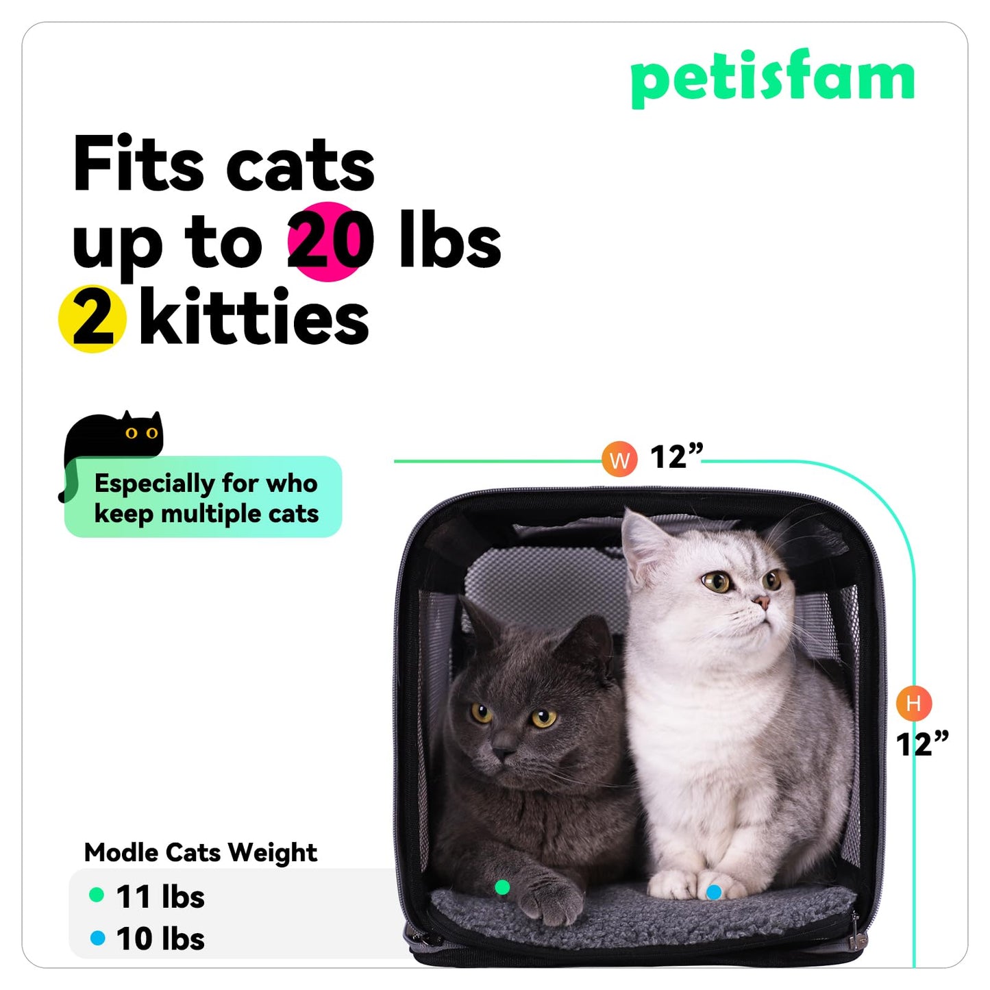 petisfam Soft Pet Carrier Bag for Cats and Puppy Under 20 lbs. Sturdy, Safe, Comfortable and Lightweight