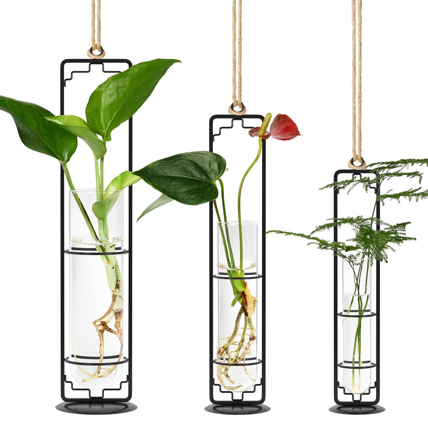 MIPON Plant Propagation Stations,Hanging Glass Propagation Test Tube Vases for Plants with Gold Metal Stand for Hydroponic Cutting Home Garden Office Decor-Black