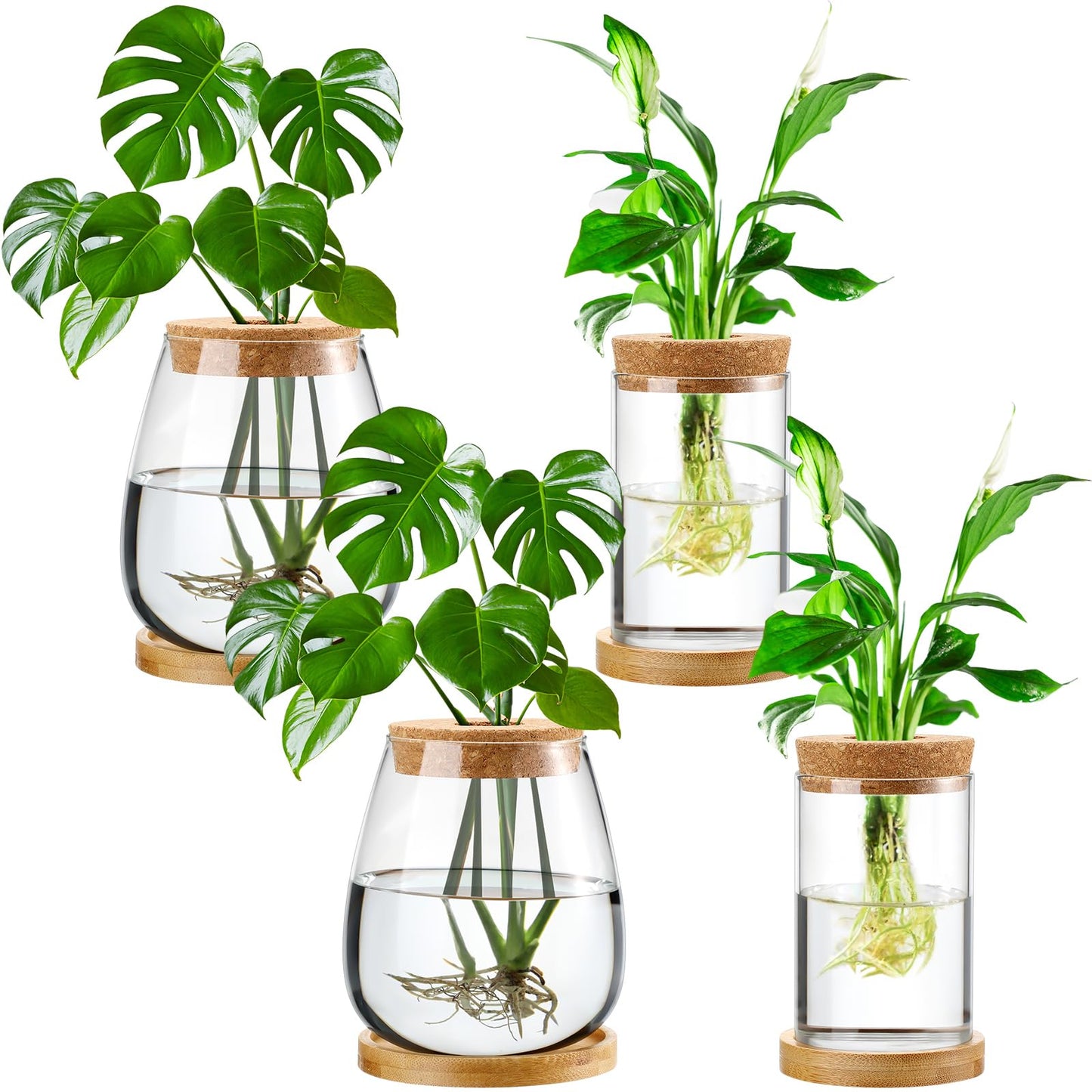 Layhit 4 Pcs Plants Propagation Stations vases Glass Planters with Wooden Lid and Bamboo Stand for Hydroponic Plants Gardening Gifts for Women Mom Home Office Tabletop Decoration(Classic Style)