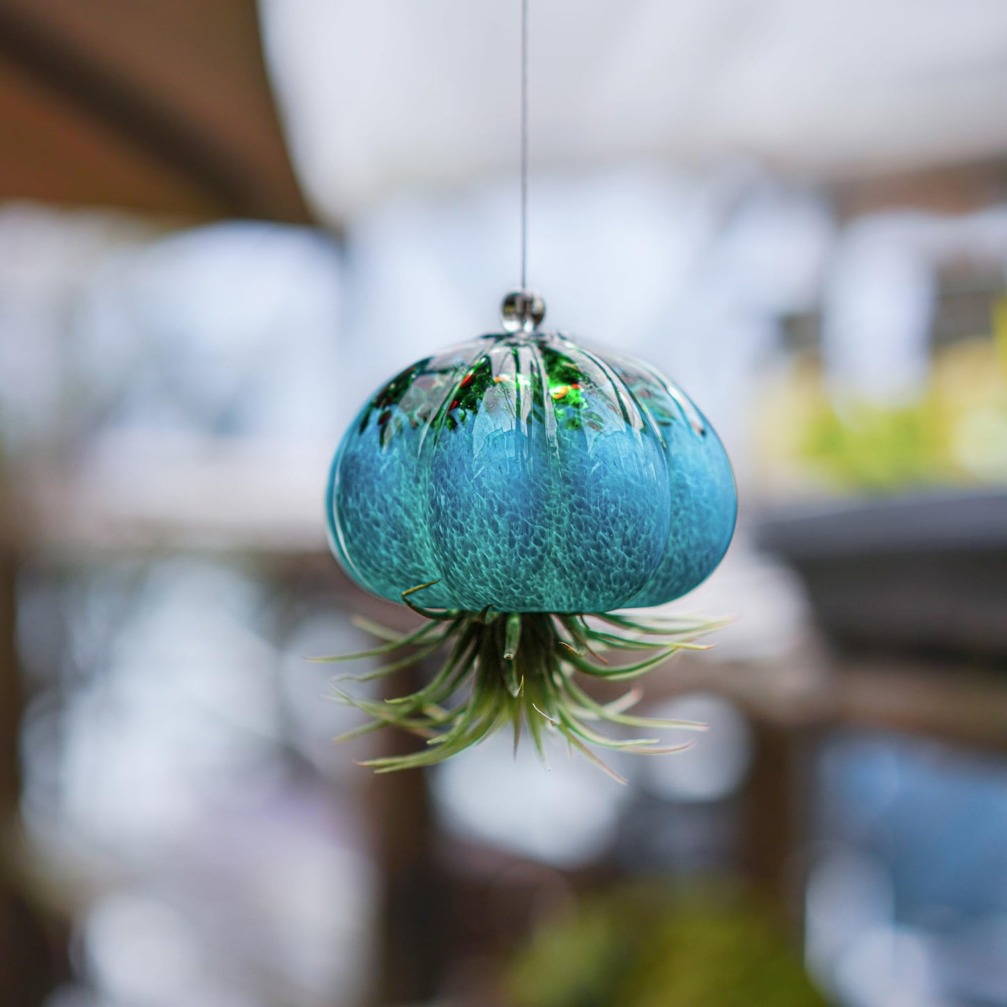 H&D HYALINE & DORA Handmade Blown Glass Hanging Jellyfish Air Planter for Live Succulent Air Plants (No Plants)
