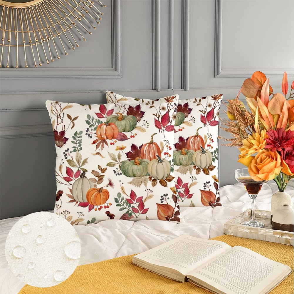 RABUSOFA Outdoor Waterproof Fall Pillow Covers 18x18 Inch,Fall Outdoor Pillows Case Set of 2,Pumpkin Autumn Thanksgiving Throw Pillows for Porch Maple Leaf(9-18)