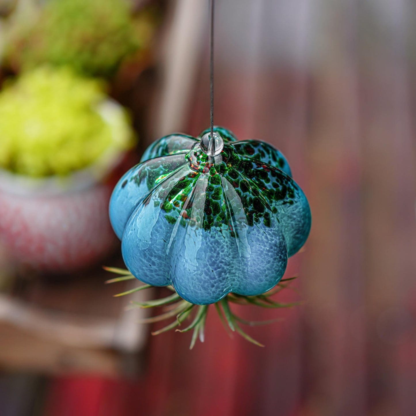 H&D HYALINE & DORA Handmade Blown Glass Hanging Jellyfish Air Planter for Live Succulent Air Plants (No Plants)