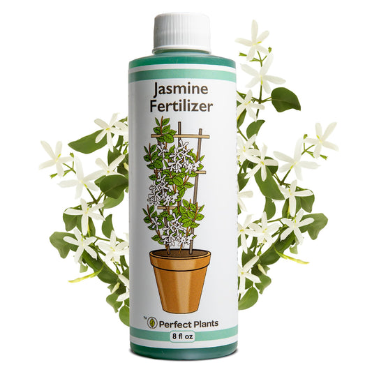 Perfect Plants Liquid Jasmine Fertilizer | 8oz. of Premium Concentrated Indoor Outdoor Jasmine Food | Use with Aromatic and Flowering Jasminum | Bloom Booster