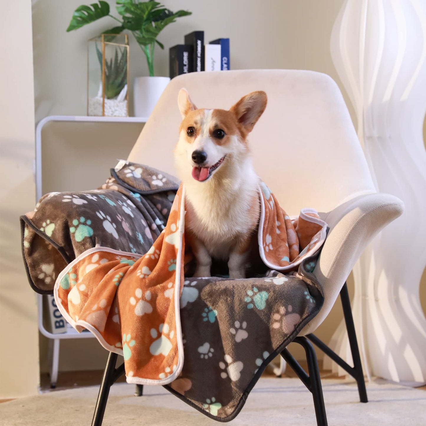 Luciphia 1 Pack 6 Dog Blankets Cat Soft Fluffy Fleece Pet Blanket Warm Cute Print Design Puppy Kitten Doggy Paw Small(23"x16")