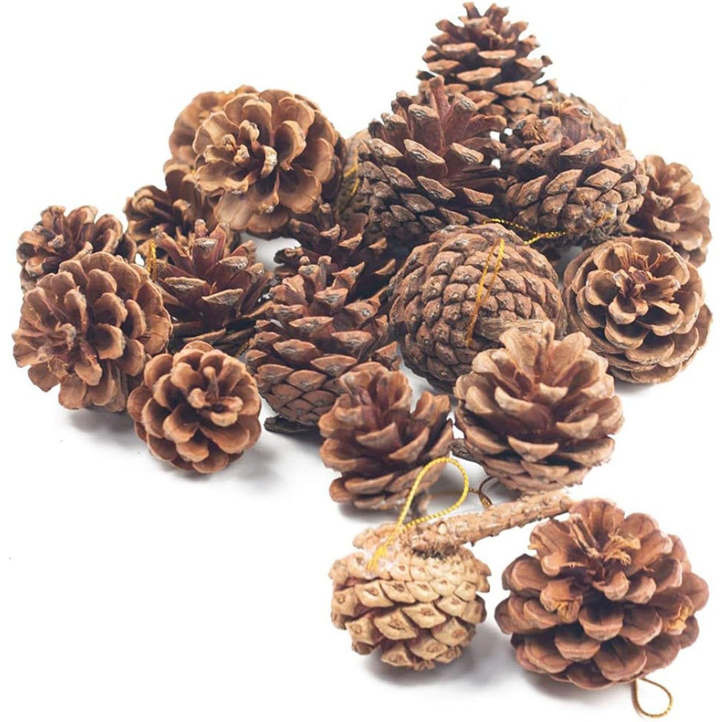 JOHOUSE 18 PCS Natural Pine Cones, Christmas Rustic Pinecones Fall Garland Halloween Thanksgiving Decorations, Christmas Tree Fall Ornaments, Winter Vase Filler