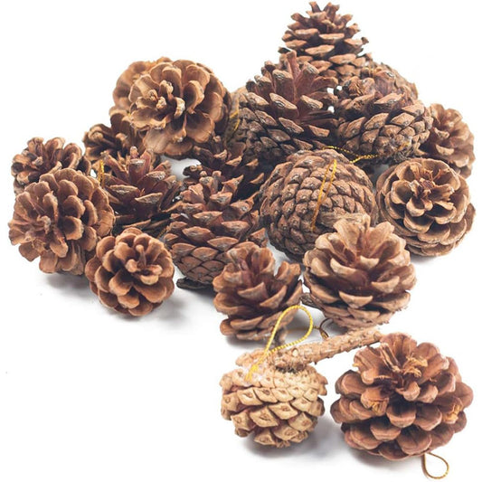 JOHOUSE 18 PCS Natural Pine Cones, Christmas Rustic Pinecones Fall Garland Halloween Thanksgiving Decorations, Christmas Tree Fall Ornaments, Winter Vase Filler