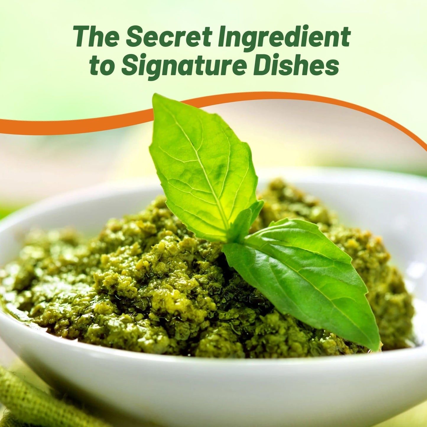 Outsidepride Genovese Sweet Basil Seeds for Planting - 1/2 lb. Easy to Grow Annual Herb Garden Seeds with Aromatic & Flavorful Foliage for Containers, Companion Planting, Indoors & Outdoors