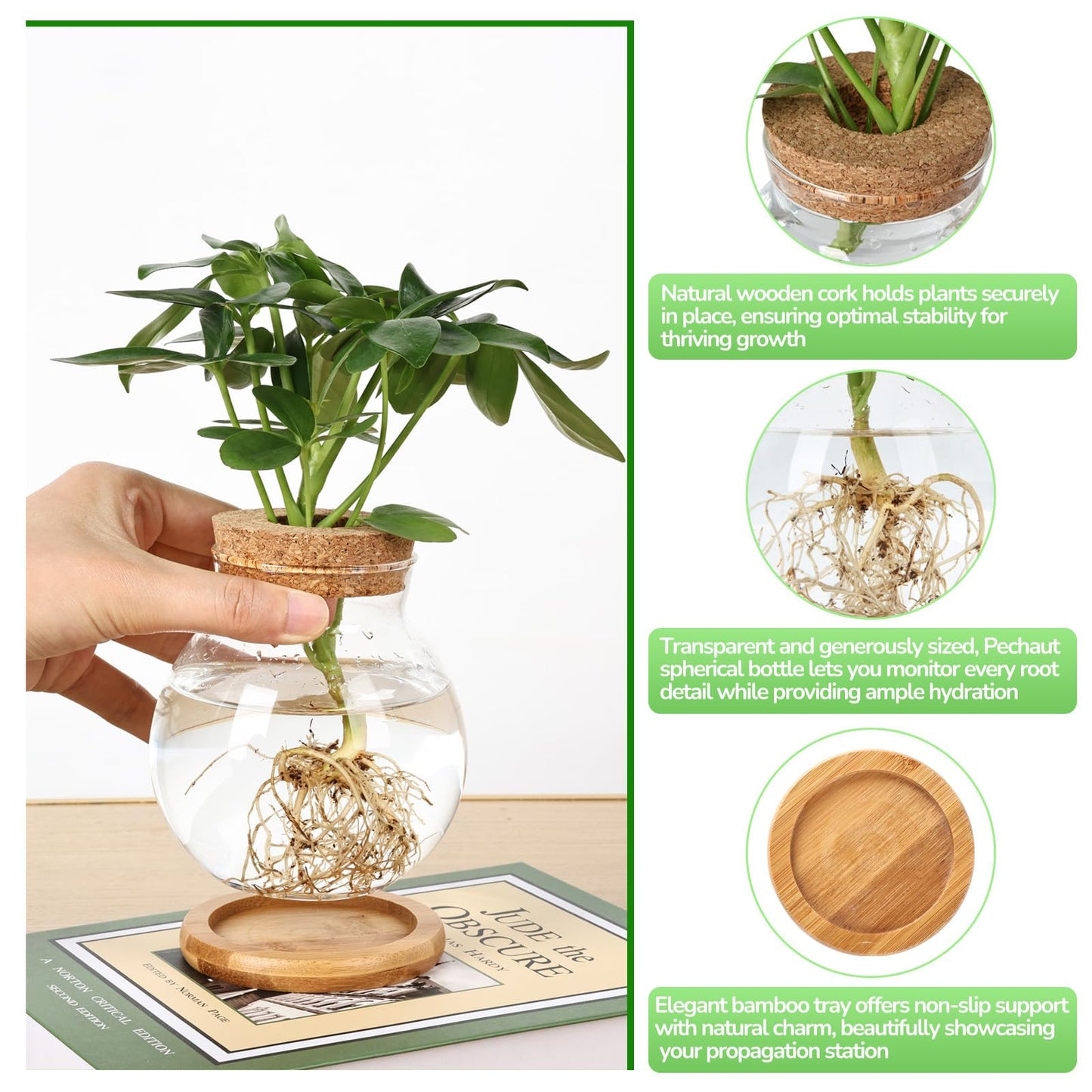 Pechaut Propagation Station, Larger Capacity Ball Vase with Base for Hydroponic Plants, Home/Office Decor & Gift for Plant Lovers, 2pcs Glass Terrariums