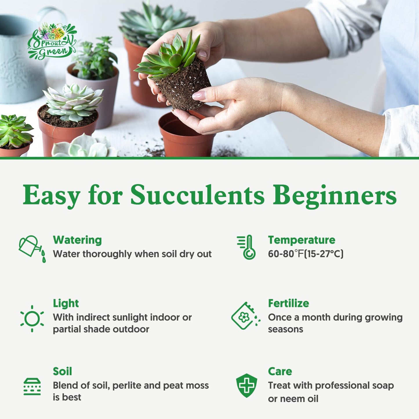 Sprout N Green 10 Assorted Succulents with Root, 10 Different Varieties Live Plants Collection, Without Plant Pot, Great for Gardener Beginner, DIY Projects, Wedding Party Favor