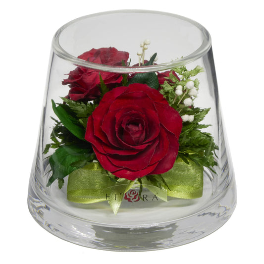 Fiora Flower | Long Lasting Real Roses in a Sealed Vase | Lasts up to 5 Years | Unique Present Gift