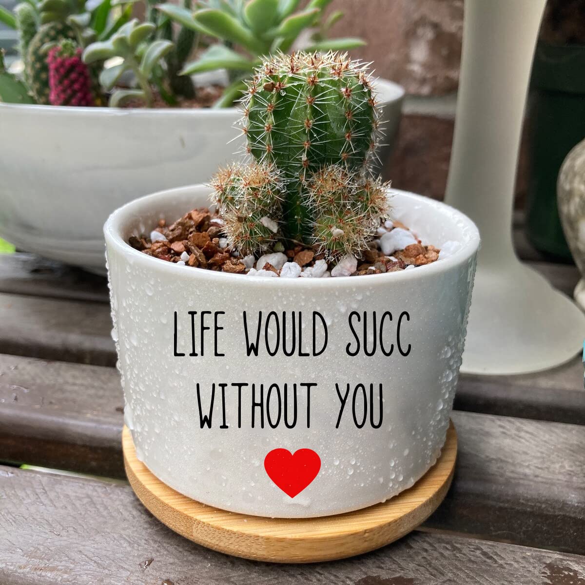Funny Life Would SUCC Without You Planter Pots, White Ceramic Engraved Mini Succulent Cactus Planter Pot, Home Office Windowsill Plant Pots for Plant Lover Birthday