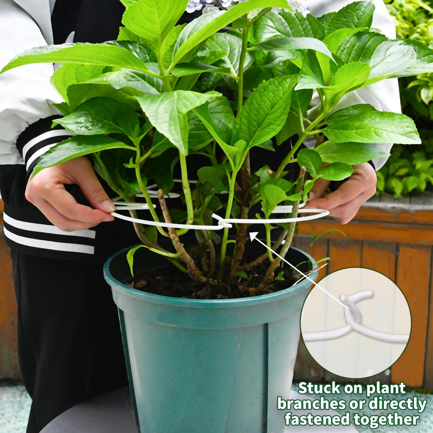 Yohsnor 5PCS Monstera Plant Stem Support White - 11x9.4 inches, Durable Adjustable Leaf Supports for Indoor Plants, Fishbone Cactus Stake Holder for Garden Stability