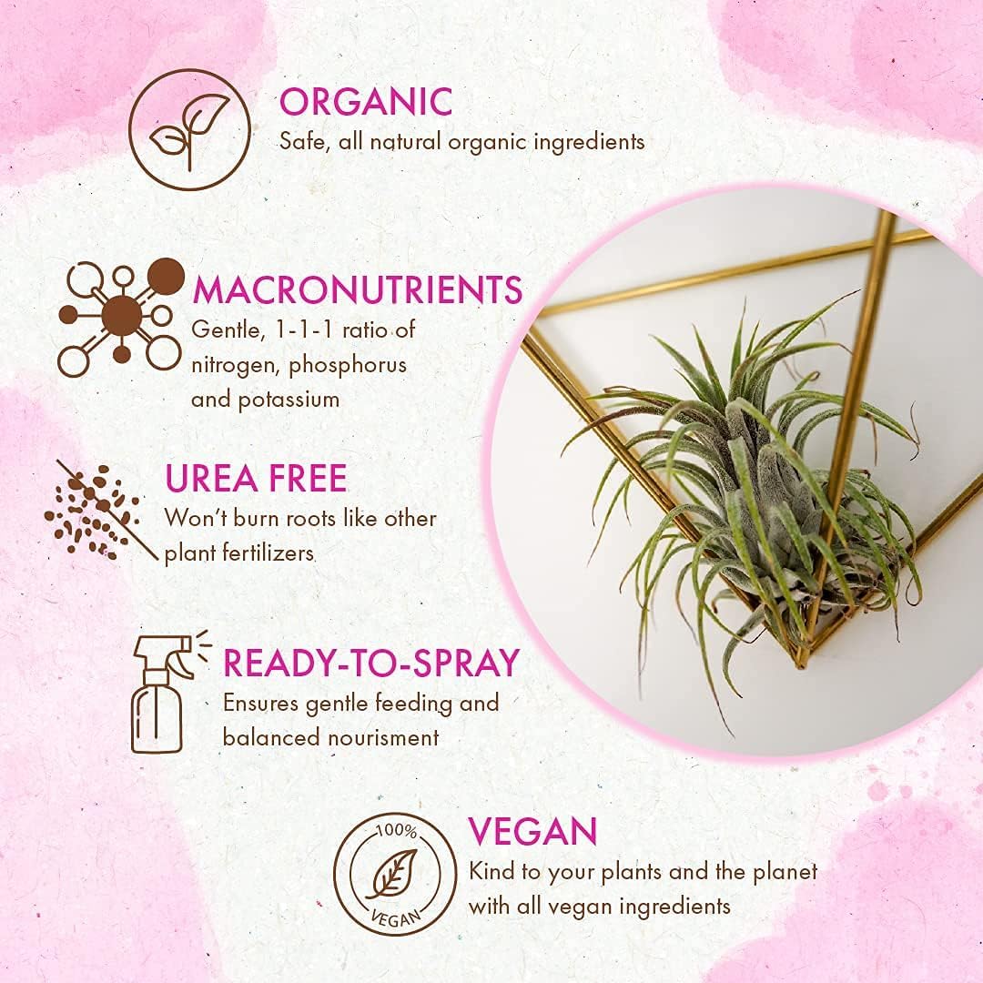 Organic Ready to Spray Air Plant Food - Fertilizer Mist for Weekly Use - Best for Live Tillandisa, Bromeliads, and Other Common Air Plants (8 oz)