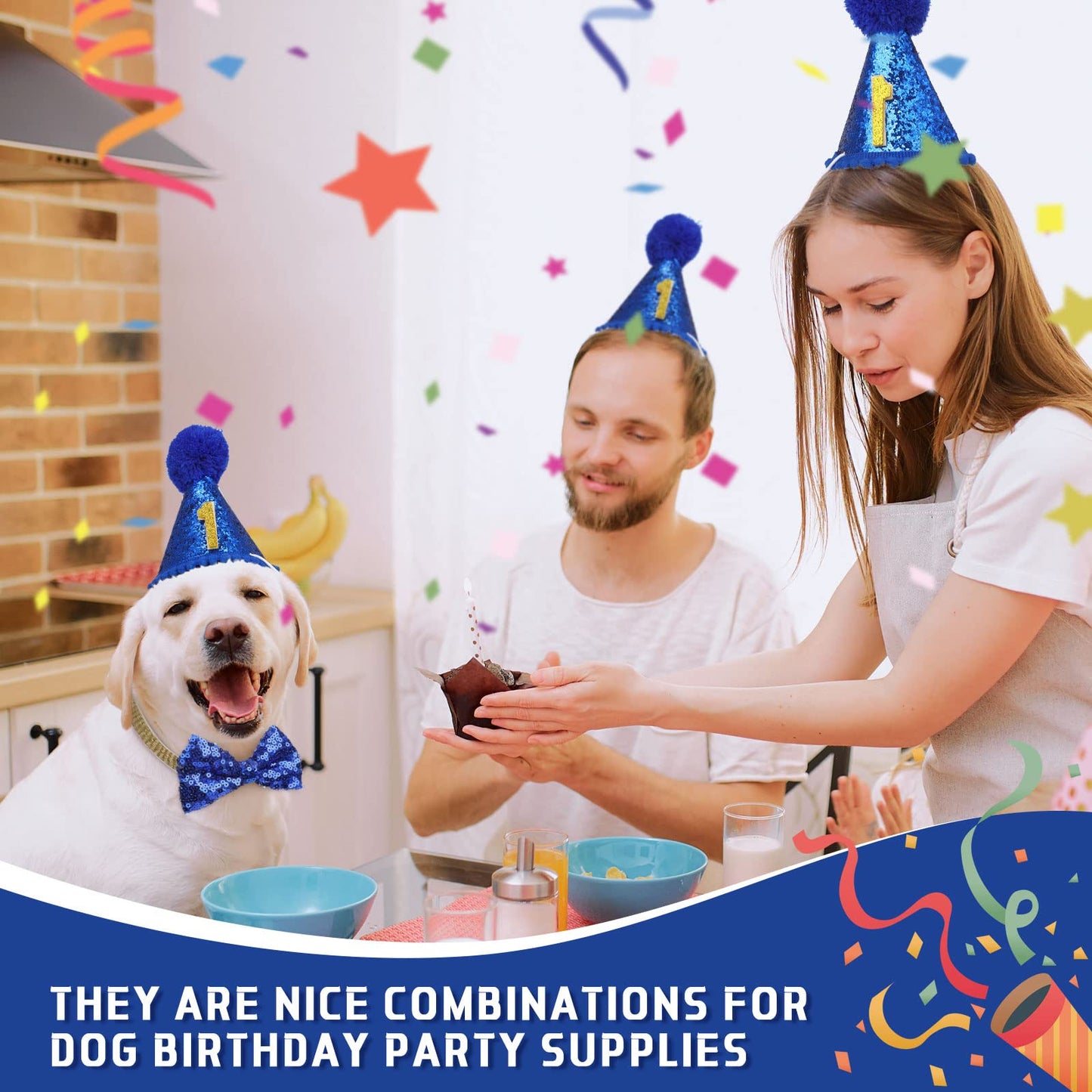 Weewooday Dog Birthday Party Supplies Birthday Boy Girl Cake Bandana Triangle Scarf Party Hat Dog Bow Tie Collar with Numbers for Large Medium Small Dog Puppy 1st Birthday(Elegant Style,Medium)