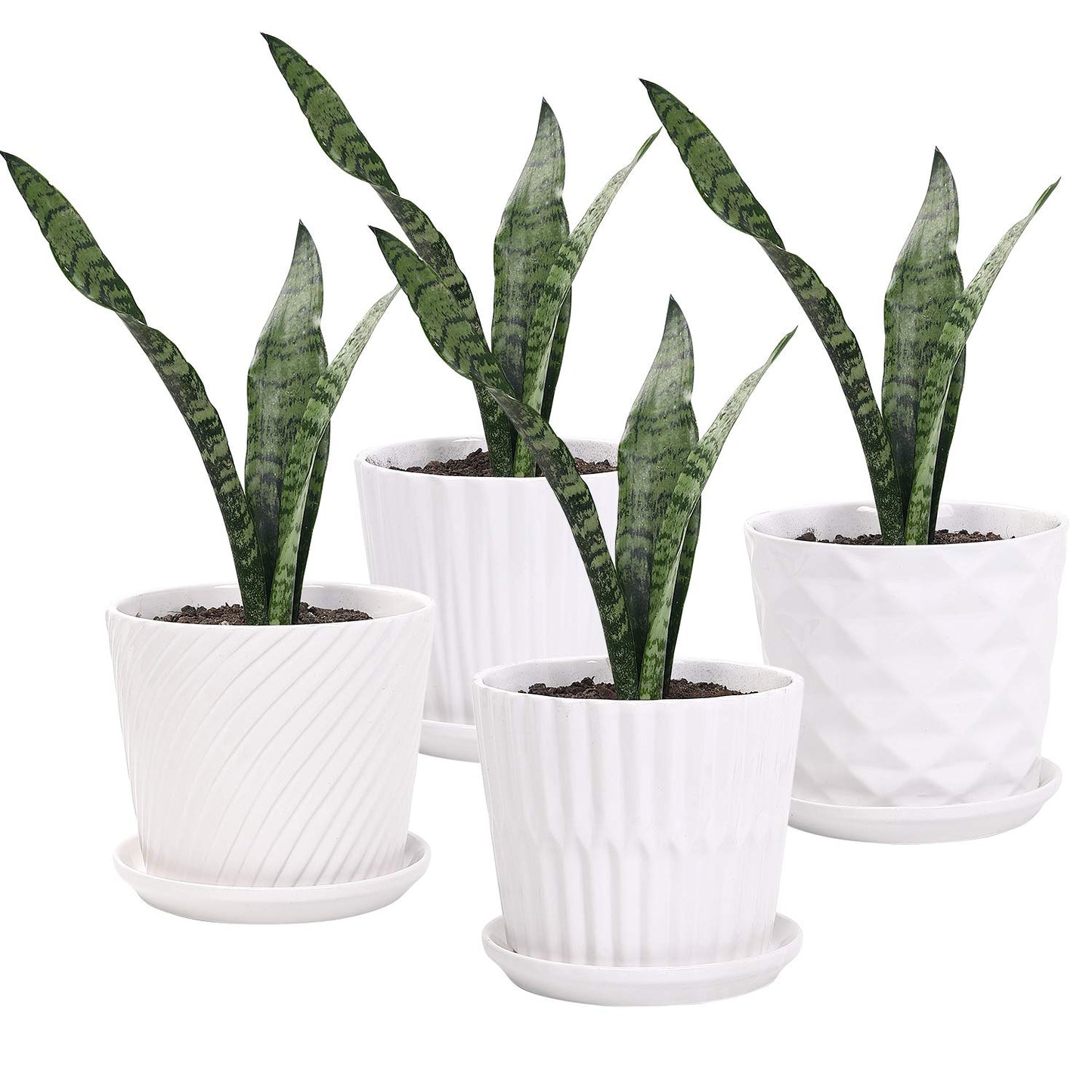 Plant Pots - 5.5 Inch Cylinder Ceramic Planters with Connected Saucer, Pots for Succuelnt and Little Snake Plants, Set of 4, White