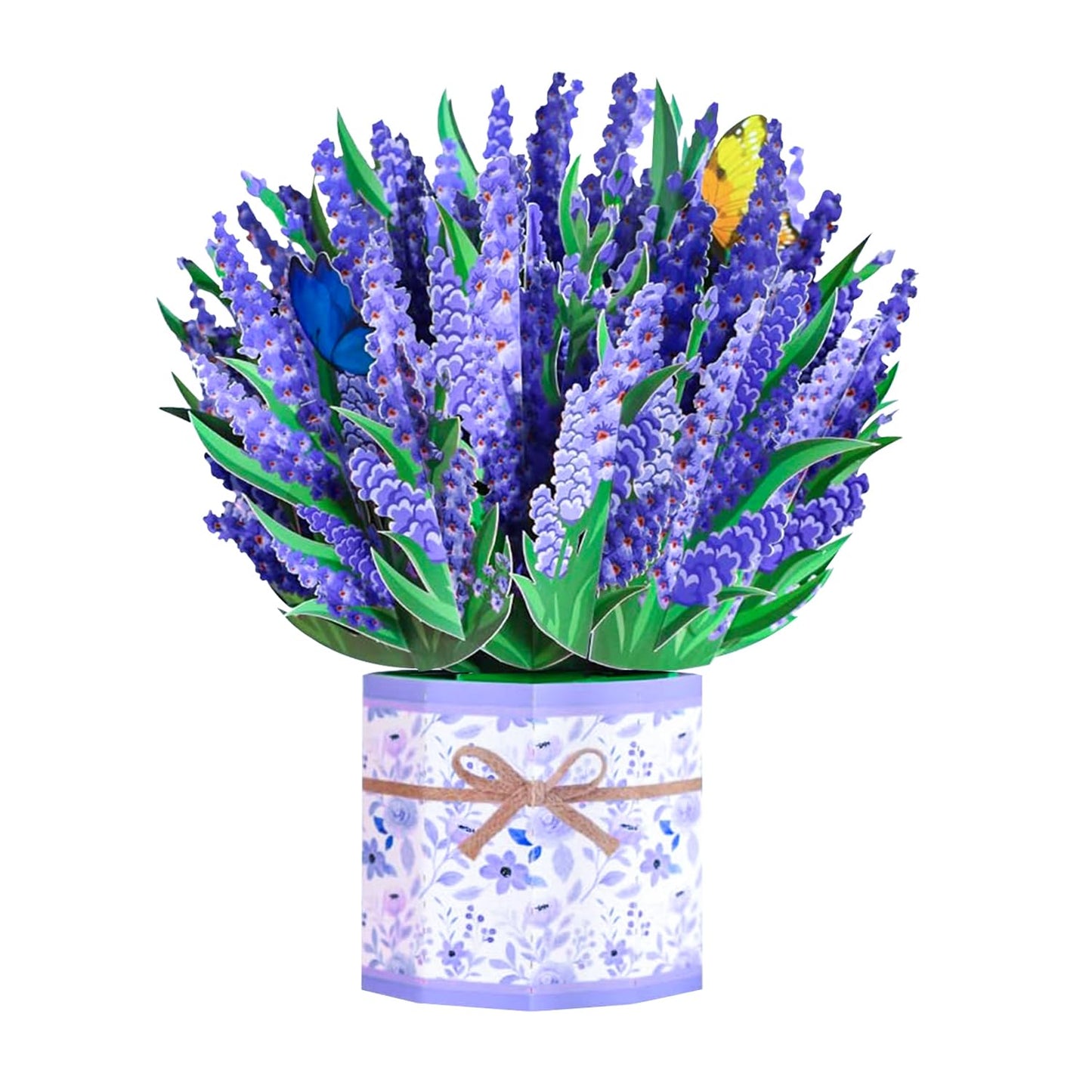 Funny Happy Birthday Pop Up Card, Sweet 3D Birthday Gift Box for Adults and Kids with Envelopes, Unique Handmade Foldable Celebration Cards for Daughter, Son, Mom, Dad, Friend