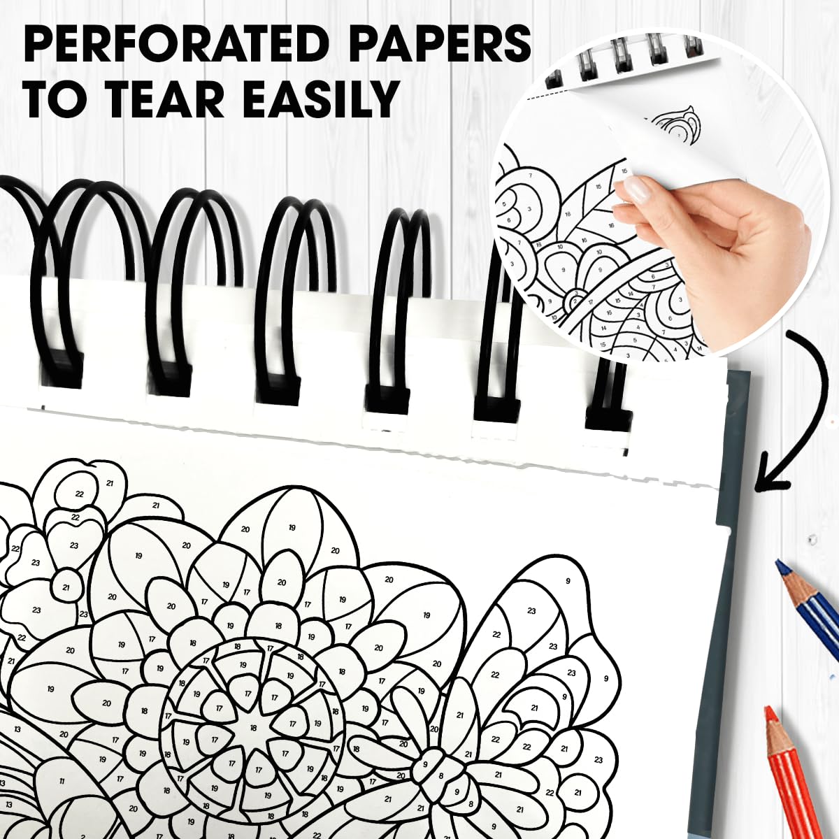 SOUTHERN LOTUS Color by Number Butterfly & Flower Patterns Spiral Coloring Book, Relaxation with Spiral Bound Coloring Book - Unwind and Redefine