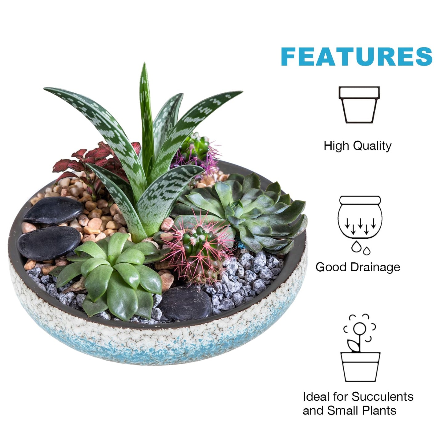 kilolfy 2pc Pot 6.5" 8.5" Glazed Ceramic Succulent Planter Container